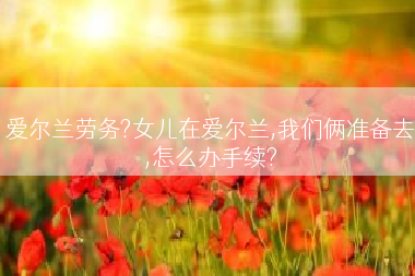 爱尔兰劳务?女儿在爱尔兰,我们俩准备去,怎么办手续?