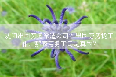 沈阳出国劳务派遣公司？出国劳务找工作，那家劳务工司是真的？