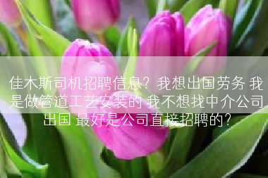 佳木斯司机招聘信息？我想出国劳务 我是做管道工艺安装的 我不想找中介公司出国 最好是公司直接招聘的？