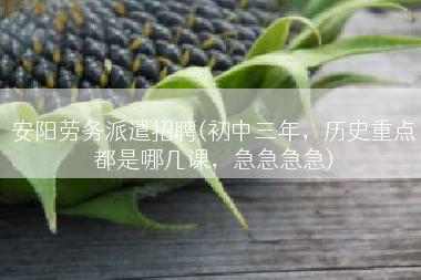 安阳劳务派遣招聘(初中三年，历史重点都是哪几课，急急急急)