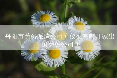 丹阳市劳务派遣公司（仪征有哪几家出国劳务公司）