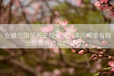 安徽出国劳务正规公司？请问哪里有做出国劳务咨询的公司！？