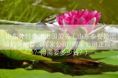 山东外经集团出国劳务（山东泰安最出国劳务的都选哪家公司?哪家公司正规些？得需要多少钱?）