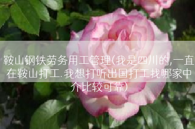 鞍山钢铁劳务用工管理(我是四川的,一直在鞍山打工.我想打听出国打工找哪家中介比较可靠)