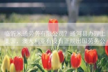 临沂米通劳务有限公司？通河县办理上美国，澳大利亚有没有正规出国劳务公司？