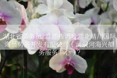 湖北省劳务员?谁能告诉我湖北晴川国际海员劳务开发有限公司（武汉河海兴船务服务中心）?