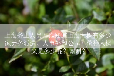 上海务工人员？谁知道上海大概有多少家劳务派遣、人事外包公司？价格大概又是多少呢？谢谢？