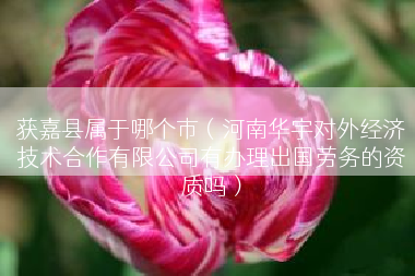 获嘉县属于哪个市（河南华宇对外经济技术合作有限公司有办理出国劳务的资质吗）
