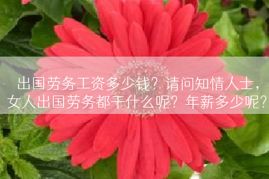 出国劳务工资多少钱？请问知情人士，女人出国劳务都干什么呢？年薪多少呢？