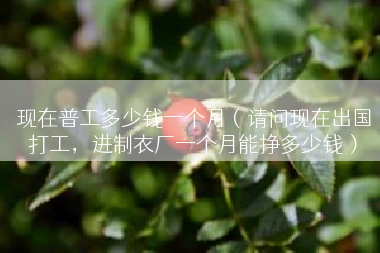 现在普工多少钱一个月（请问现在出国打工，进制衣厂一个月能挣多少钱）