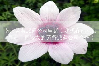 南京劳务派遣公司电话（我想在南京市寻求一家较大的劳务派遣公司合作）