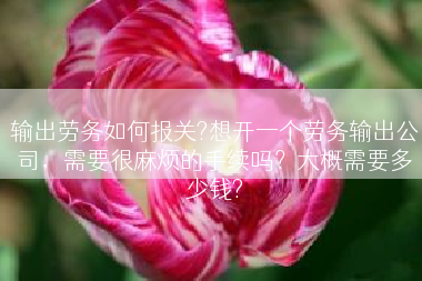 输出劳务如何报关?想开一个劳务输出公司，需要很麻烦的手续吗？大概需要多少钱?