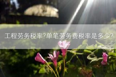 工程劳务税率?单笔劳务费税率是多少?