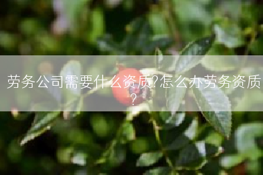劳务公司需要什么资质?怎么办劳务资质?