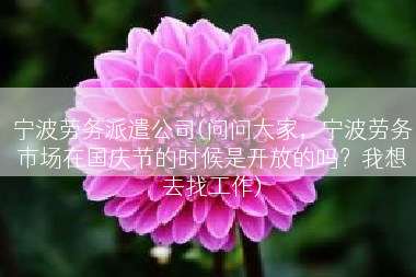宁波劳务派遣公司(问问大家，宁波劳务市场在国庆节的时候是开放的吗？我想去找工作)