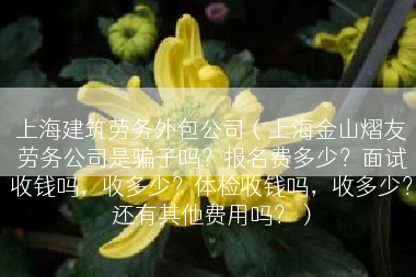 上海建筑劳务外包公司（上海金山熠友劳务公司是骗子吗？报名费多少？面试收钱吗，收多少？体检收钱吗，收多少？还有其他费用吗？）
