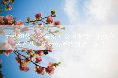 劳动和劳务的关系（公司把我们的劳务关系从一家劳务所转到另一家）
