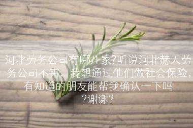河北劳务公司有哪几家?听说河北赫天劳务公司不错，我想通过他们做社会保险，有知道的朋友能帮我确认一下吗
?谢谢?