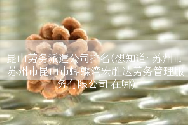 昆山劳务派遣公司排名(想知道: 苏州市 苏州市昆山市蝴蝶湾宏胜达劳务管理服务有限公司 在哪)