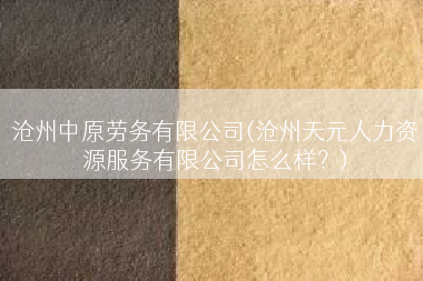沧州中原劳务有限公司(沧州天元人力资源服务有限公司怎么样？)