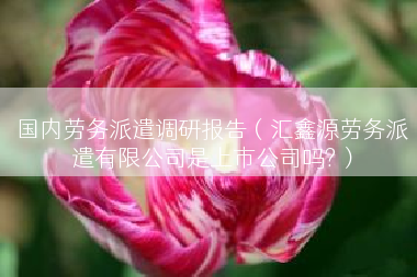国内劳务派遣调研报告（汇鑫源劳务派遣有限公司是上市公司吗?）