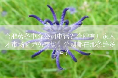 合肥劳务中介公司电话？合肥有几家人才市场和劳务市场。分别都在那条路多少号？