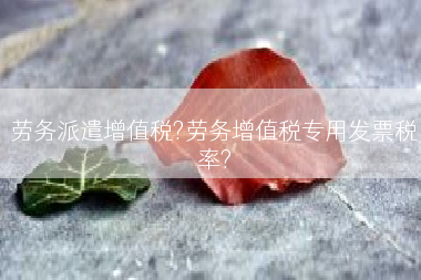 劳务派遣增值税?劳务增值税专用发票税率?