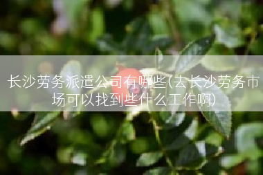 长沙劳务派遣公司有哪些(去长沙劳务市场可以找到些什么工作啊)