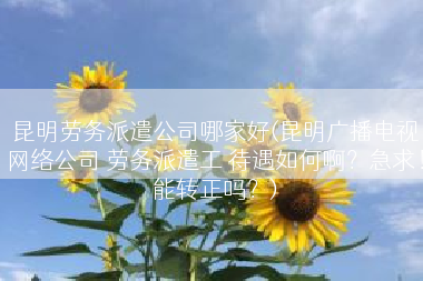 昆明劳务派遣公司哪家好(昆明广播电视网络公司 劳务派遣工 待遇如何啊？急求！能转正吗？)