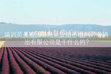 培训劳务输出信息？安阳市维创劳务输出有限公司是干什么的？