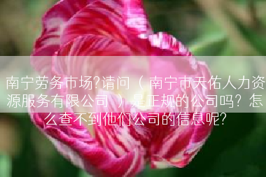 南宁劳务市场?请问 （南宁市天佑人力资源服务有限公司 ） 是正规的公司吗？怎么查不到他们公司的信息呢?