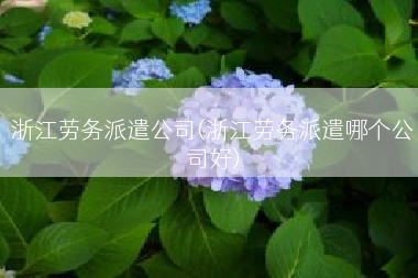 浙江劳务派遣公司(浙江劳务派遣哪个公司好)
