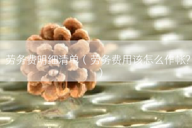 劳务费明细清单（劳务费用该怎么作帐?）