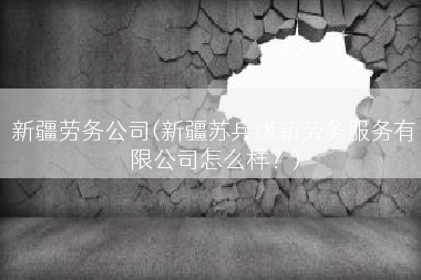 新疆劳务公司(新疆苏兵缘新劳务服务有限公司怎么样？)