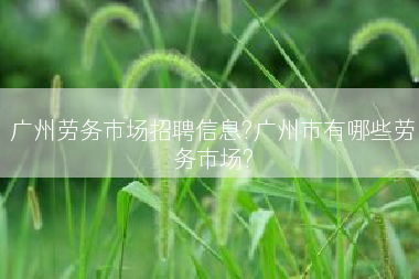 广州劳务市场招聘信息?广州市有哪些劳务市场?