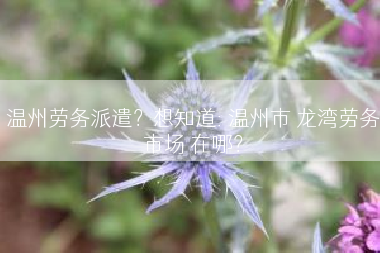 温州劳务派遣？想知道: 温州市 龙湾劳务市场 在哪？