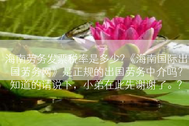 海南劳务发票税率是多少?《海南国际出国劳务网》是正规的出国劳务中介吗？知道的请说下，小弟在此先谢谢了。?