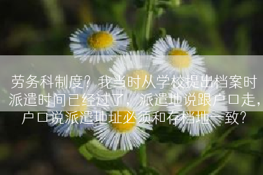 劳务科制度？我当时从学校提出档案时派遣时间已经过了，派遣地说跟户口走，户口说派遣地址必须和存档地一致？