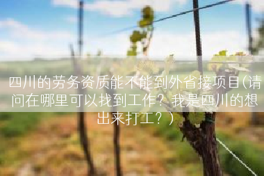 四川的劳务资质能不能到外省接项目(请问在哪里可以找到工作？我是四川的想出来打工？)