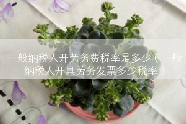 一般纳税人开劳务费税率是多少（一般纳税人开具劳务发票多少税率）