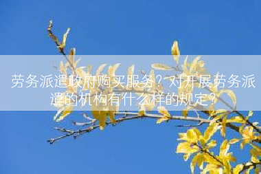 劳务派遣政府购买服务？对开展劳务派遣的机构有什么样的规定？