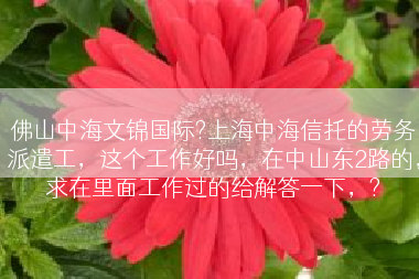 佛山中海文锦国际?上海中海信托的劳务派遣工，这个工作好吗，在中山东2路的，求在里面工作过的给解答一下，?