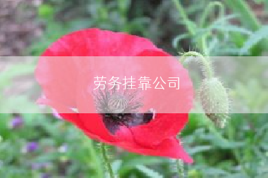 劳务挂靠公司