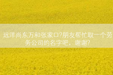 远洋尚东万和张家口?朋友帮忙取一个劳务公司的名字吧，谢谢?
