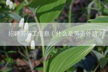 招聘劳务工信息（什么是劳务外招）