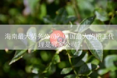 海南最大劳务公司？中国最大的招工代理是哪家公司？