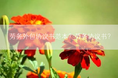 劳务外包协议书范本？劳务协议书？