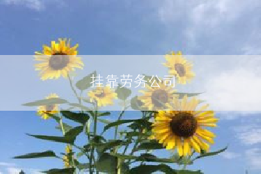 挂靠劳务公司
