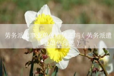 劳务派遣事业单位能转正吗（劳务派遣事业单位待遇）