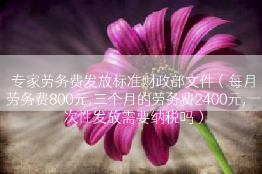 专家劳务费发放标准财政部文件（每月劳务费800元,三个月的劳务费2400元,一次性发放需要纳税吗）